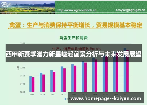 西甲新赛季潜力新星崛起前景分析与未来发展展望