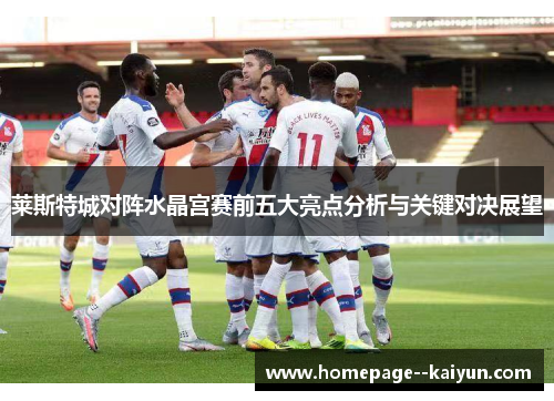 莱斯特城对阵水晶宫赛前五大亮点分析与关键对决展望